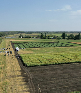 Участники Дня поля в Воронежской области познакомились с семеноводческими инновациями «Штрубе Рус»